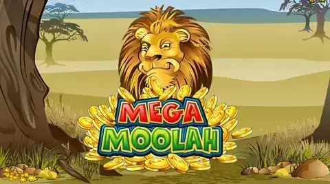 Competitors Mega Moolah Lower RTP - Other Casinos BD